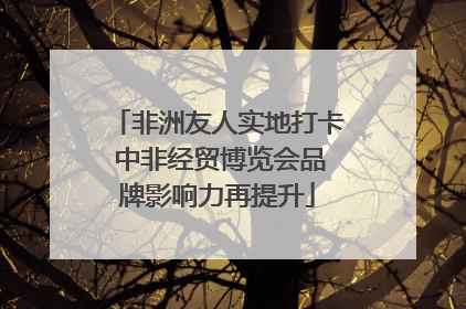 非洲友人实地打卡 中非经贸博览会品牌影响力再提升