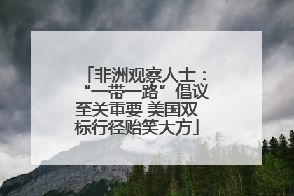 非洲观察人士：“一带一路”倡议至关重要 美国双标行径贻笑大方