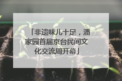 非遗味儿十足，潘家园首届京台民间文化交流周开幕
