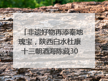 非遗好物再添秦地瑰宝，陕西白水杜康十三朝酒海陈藏30年别具一格
