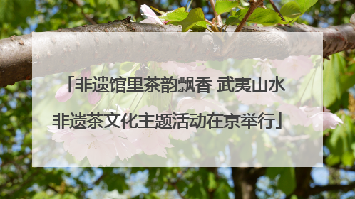非遗馆里茶韵飘香 武夷山水非遗茶文化主题活动在京举行