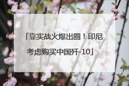 靠实战火爆出圈！印尼考虑购买中国歼-10