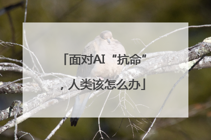 面对AI“抗命”，人类该怎么办