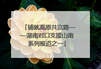 铺就高原共富路——湖南对口支援山南系列报道之一