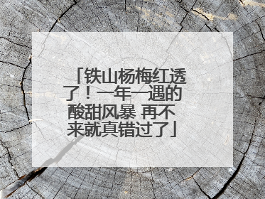 铁山杨梅红透了！一年一遇的酸甜风暴 再不来就真错过了