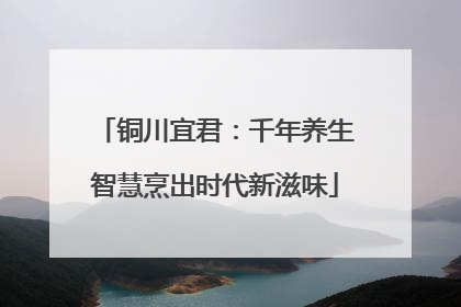 铜川宜君：千年养生智慧烹出时代新滋味