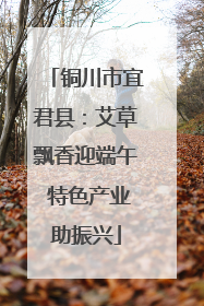 铜川市宜君县：艾草飘香迎端午 特色产业助振兴