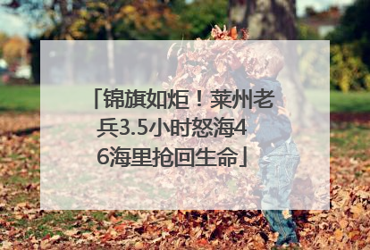 锦旗如炬！莱州老兵3.5小时怒海46海里抢回生命