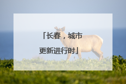 长春，城市更新进行时