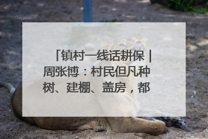 镇村一线话耕保｜周张博：村民但凡种树、建棚、盖房，都要向街道报批