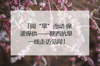 闻“旱”而动 保灌保供——陕西抗旱一线走访见闻