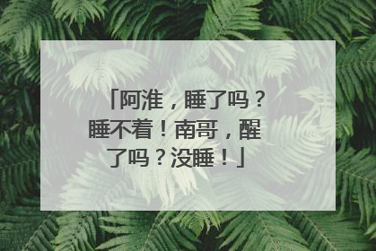 阿淮，睡了吗？睡不着！南哥，醒了吗？没睡！
