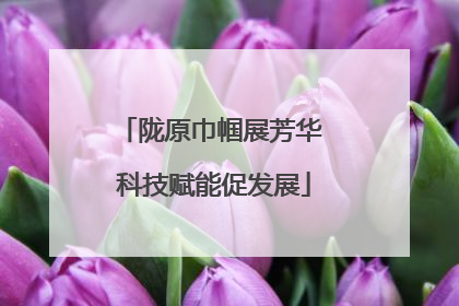 陇原巾帼展芳华 科技赋能促发展