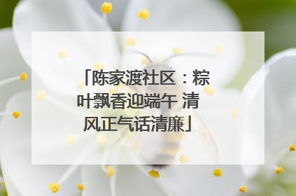 陈家渡社区：粽叶飘香迎端午 清风正气话清廉