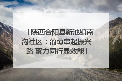 陕西合阳县新池镇南沟社区：葡萄串起振兴路 聚力同行显效能