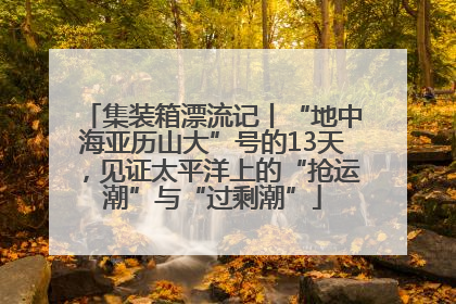 集装箱漂流记丨“地中海亚历山大”号的13天，见证太平洋上的“抢运潮”与“过剩潮”