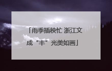 雨季插秧忙 浙江文成“丰”光美如画