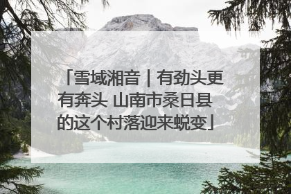 雪域湘音｜有劲头更有奔头 山南市桑日县的这个村落迎来蜕变