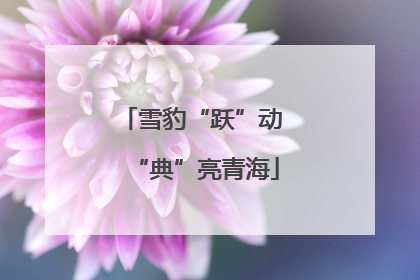 雪豹“跃”动 “典”亮青海