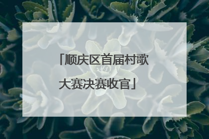 顺庆区首届村歌大赛决赛收官