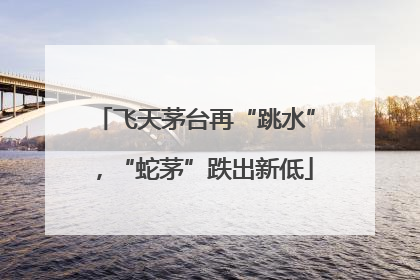 飞天茅台再“跳水”，“蛇茅”跌出新低