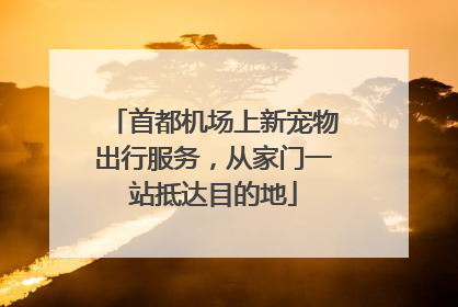 首都机场上新宠物出行服务，从家门一站抵达目的地