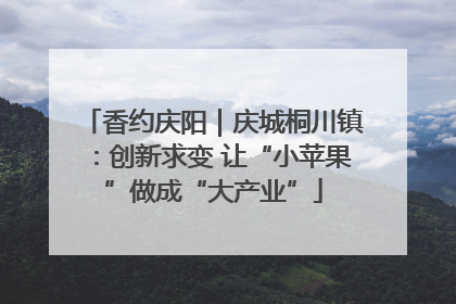 香约庆阳｜庆城桐川镇：创新求变 让“小苹果”做成“大产业”