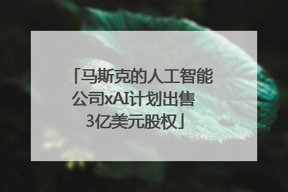 马斯克的人工智能公司xAI计划出售3亿美元股权