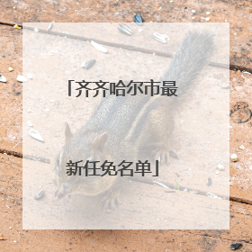 齐齐哈尔市最新任免名单