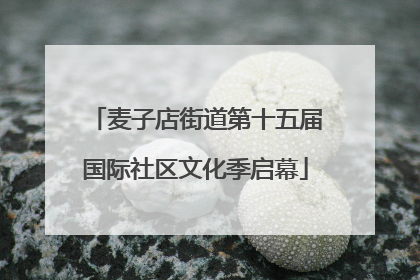 麦子店街道第十五届国际社区文化季启幕