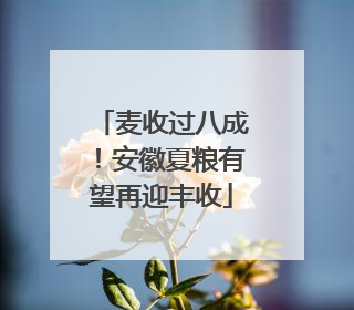 麦收过八成！安徽夏粮有望再迎丰收