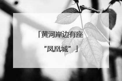 黄河岸边有座“凤凰城”