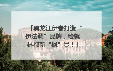 黑龙江伊春打造“伊法调”品牌，绘就林都新“枫”景！
