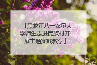 黑龙江八一农垦大学师生走进民族村开展主题实践教学