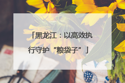 黑龙江：以高效执行守护“粮袋子”
