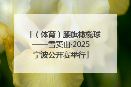 （体育）腰旗橄榄球——雪窦山·2025宁波公开赛举行