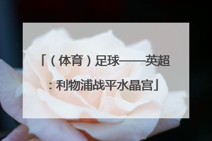 （体育）足球——英超：利物浦战平水晶宫