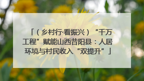 （乡村行·看振兴）“千万工程”赋能山西昔阳县：人居环境与村民收入“双提升”