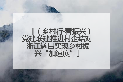 （乡村行·看振兴）党建联建推进村企结对 浙江遂昌实现乡村振兴“加速度”