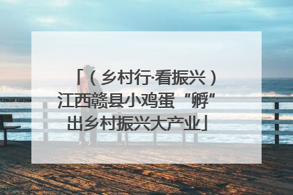 （乡村行·看振兴）江西赣县小鸡蛋“孵”出乡村振兴大产业