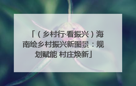 （乡村行·看振兴）海南绘乡村振兴新图景：规划赋能 村庄焕新