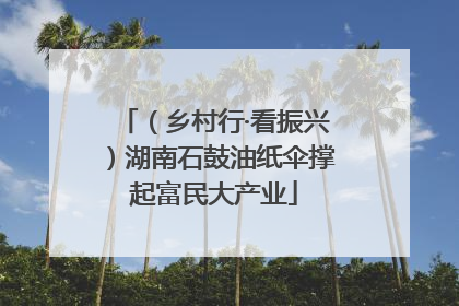 （乡村行·看振兴）湖南石鼓油纸伞撑起富民大产业