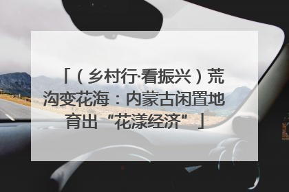 （乡村行·看振兴）荒沟变花海：内蒙古闲置地育出“花漾经济”
