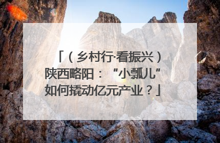 （乡村行·看振兴）陕西略阳：“小瓢儿”如何撬动亿元产业？