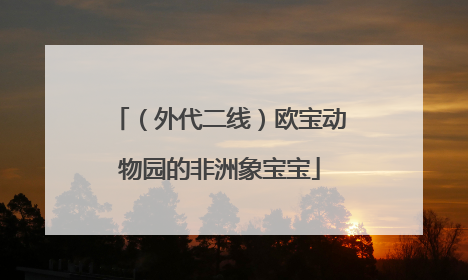 （外代二线）欧宝动物园的非洲象宝宝