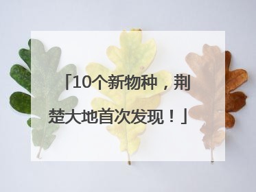 10个新物种，荆楚大地首次发现！