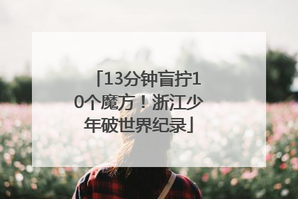 13分钟盲拧10个魔方！浙江少年破世界纪录