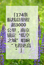 174条航线总里程超3000公里，南京锚定“低空之城”唱响“飞得更高”