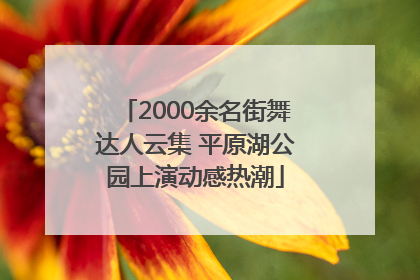 2000余名街舞达人云集 平原湖公园上演动感热潮