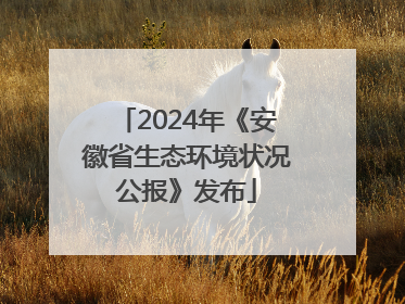 2024年《安徽省生态环境状况公报》发布